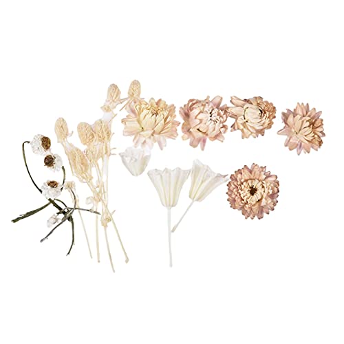 Flores prensadas naturais e secas de verdade para resina, flores secas naturais, kit de ervas a gran