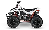 Dieses Einsteiger-Modell, mit einem 70 ccm Motor, kann den Start in eine Fahrerkarriere bahnen.Durch leichtes Gewicht bringt der Motor trotzdem genug Power, um Anfängern Fahrspaß zu generieren, insbesondere durch die flexible Steuerung sämtliche Manöver im Gelände ausprobieren zu können.