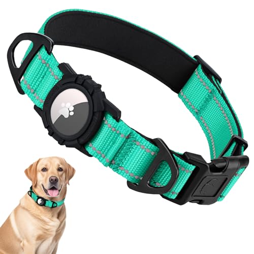 Taglory AirTag Dog Collar with Waterproof Holder for Large Dogs, Turquoise