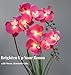 HOMESEASONS Orchid Lamp-LED Lighted Orchid Arrangements,Pre Lit Artificial Orchid,Light Up Flower Lights, Faux Orchid Phalaenopsis Arrangement (Purple)