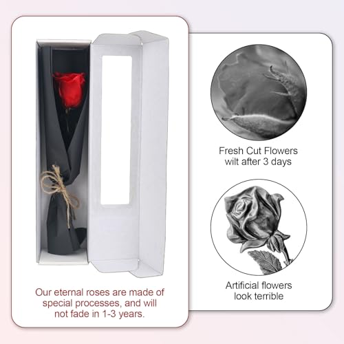 elthmpr Infinity Rose rosa am Stiel - Echte Konservierte Rose in Geschenkbox Geschenke für Frauen Ewige Rose in Ihrem GeburtstagsjubiläUm Muttertag Weihnachten
