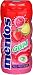 Mentos Gum - Red Fruit Sugarfree (Pack of 10)
