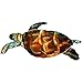 Next Innovations Sea Turtle Refraxions 3D Wall Art