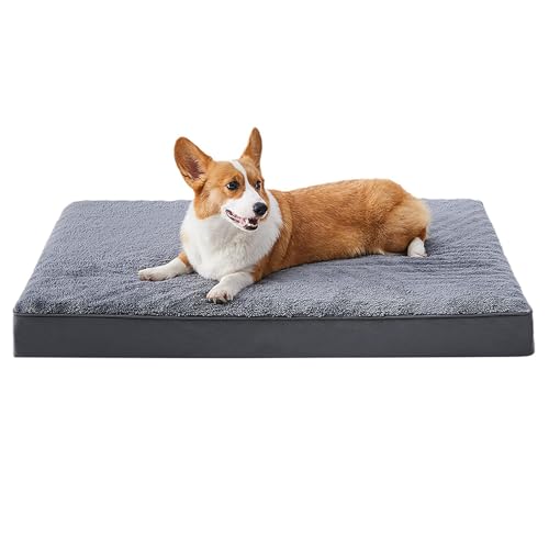 ^p`OȗppxbhAO\ȖhJo[Ɗ~ߒt̗^N[gtH[pxbhAɓKybgxbh}bg,3XL