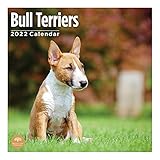 Alta calidad: calendario 2022 de Terrier Bull, tamaño cerrado: 30,5 x 30,5 cm. Abierto: 12 x 24 pulgadas. No traspasa. 13 imágenes a todo color en nuestro calendario Terrier. Todas las fotos del calendario de 2022 son seleccionadas a mano de una amplia gama de fotógrafos de todo el mundo. No se hacen concesiones en la calidad de imagen o el contenido en nuestro calendario 2022 Bull Terriers.