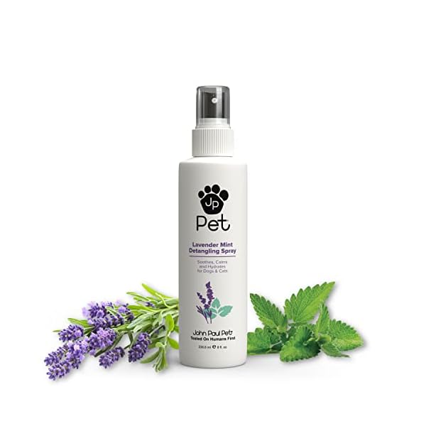 John Paul Pet Lavender Mint Detangling Spray for Dogs and Cats, Soothes Moisturizes and Replenishes Dry Unruly Fur, Non…
