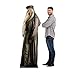 Cardboard People Professor Dumbledore Life Size Cardboard Cutout Standup - Harry Potter and The Order of The Phoenix