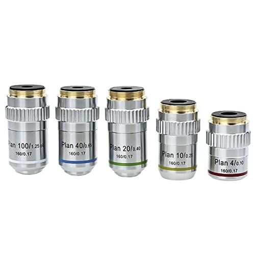 ώ@ 195 ʃAN}[gΕY 4X 10X 20X 40X 100X ΕY W RMS C^[tF[XwY(4X 10X 20X 40X 100X)