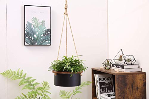 Yanmilia Hanging Planter Hanging Plant Basket Hanging Plant Pot Holder Iron Hanging Plant Container Indoor Outdoor Plant Hanger, 8 Inch Diameter #TOP4