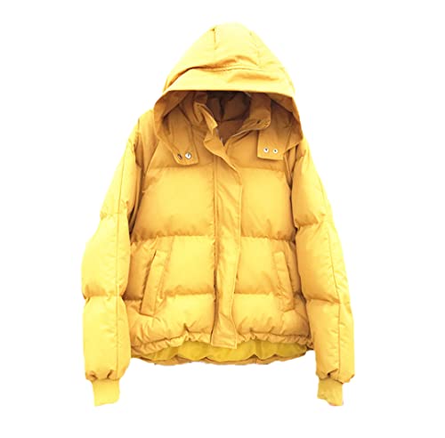 Parka courte à capuche pour femme, veste d'hiver épaisse et ample contre le gel hivernal