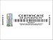 250 pcs Certificate of Authenticity Labels Security Stickers with Hologram Stripe 2.75 x 0.78 inch