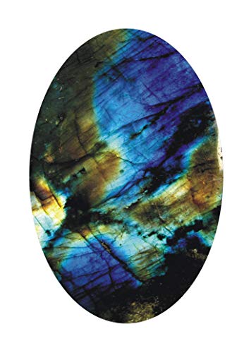 �C���h�� 14.00 ���b�e�B 13.00�J���b�g �V�R���u���h���C�g�X�g�[�� �I���W�i�� �F�胂���p���L�[���-B0DK9335XR