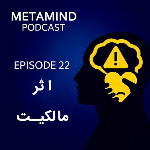 『اثر مالکیت: چرا چیزهای خودمان را بیش از حد ارزش‌گذاری می‌کنیم』のカバーアート