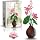 Lotus Flower Building Set (256 Pieces)