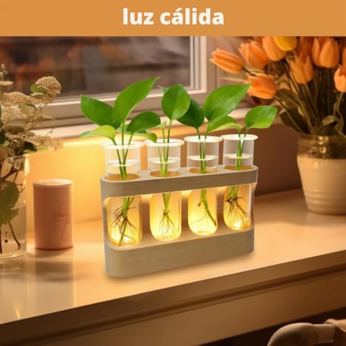 Jarrones de vidrio hidropónico decorativos con luces LED para interior 7