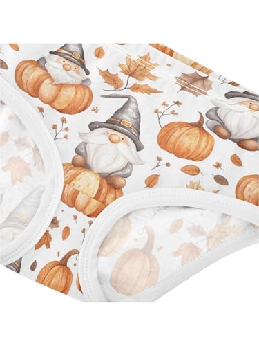 ZZKKO Gnome and Maple Leaves Pumpkins Girls Underwear Toddler Panties for Girls Comfort Brief Size 2T4