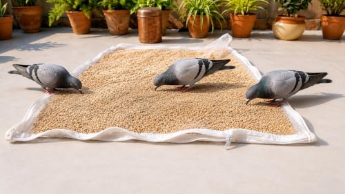 Image of Mesh Food Drying Cover Net with Zipper Closure for Grain Drying, White Protective Mesh Cover for Terrace, Balcony and Outdoor Drying (28 X 38 INCHES)