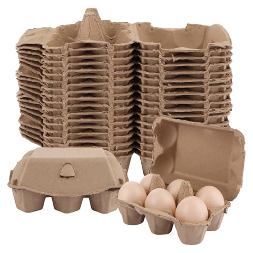 SHUESS 50 cajas para huevos con tapa, 6 rejillas, cajas de cartón, hueveras, hueveras, cartón para huevos de gallina, huevos de Pascua para manualidades