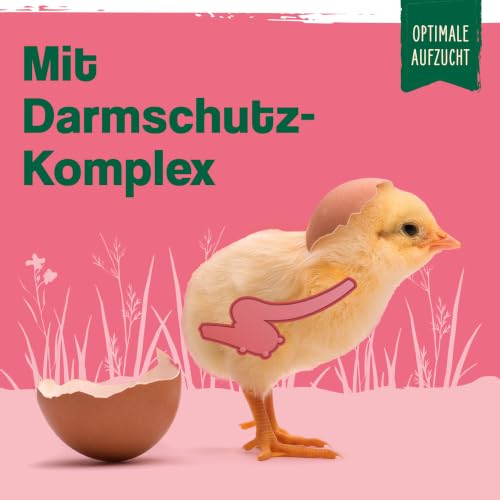Ida Plus - Küken Booster - optimale Küken Aufzucht - essenzielle Hühner Vitamine (Vitamin A, D, E, C & B) - mit Probiotika & Oregano für gesunde Verdauung & Darmflora - optimales Küken Wachstum - 180g
