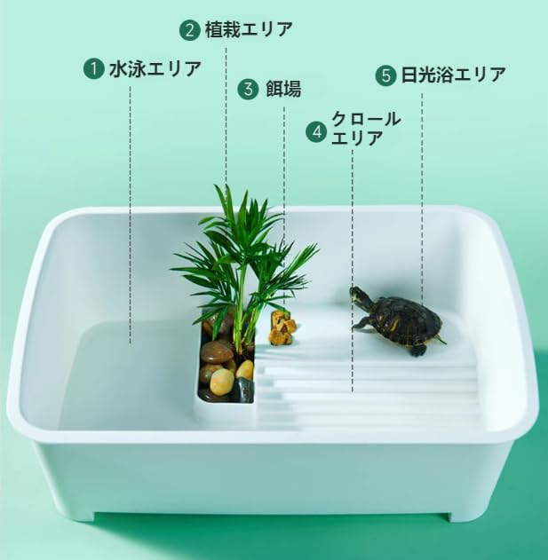 亀用水槽 飼育ケース バックヤードファミリー BACKYARD FAMILY 亀用水槽 飼育ケース 返品