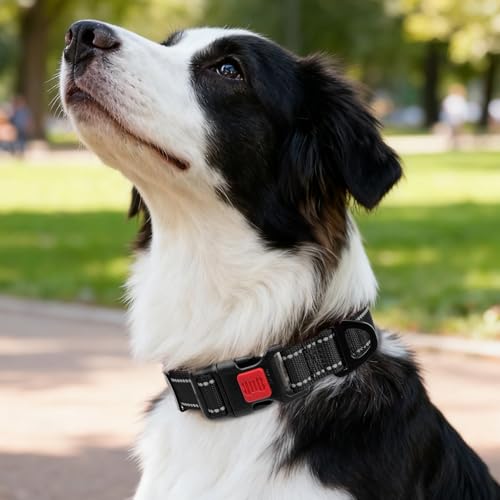 Image of Taglory Reflective Dog Collar for Medium Dogs, Soft and Safe for Daily Walk