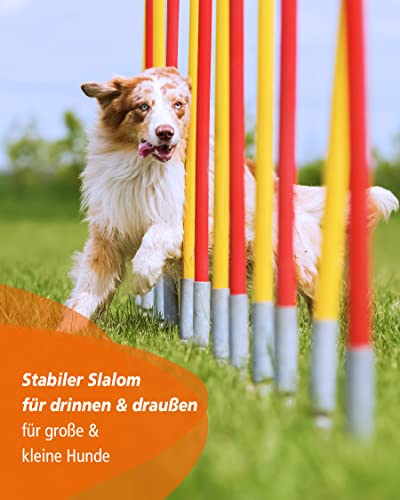 SPORTIKEL24 Agility-Slalom – Slalom für Turnier & Agility-Training – mit 12 Stangen & und Basis aus Metall – stabile Ausführung – FCI-konform – Set mit Tragetaschen