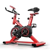 Spinning Bike für Heimtraining mit Bildschirm, einstellbarer Widerstand, LED-Anzeige, geräuscharmer Betrieb