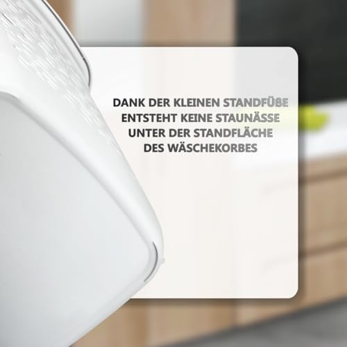 Wäschebox Wäschesammler 60L Wäschekorb mit Deckel Wäscheaufbewahrung aus Kunststoff Wäsche Sortierer