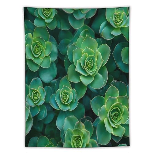 Tapiz de suculentas verdes divertido para alegrar la decoración de tu sala