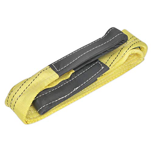 Sealey Ls3001 arrimage 3tonne Capacité 1 Mtr