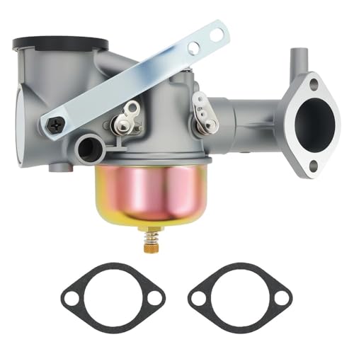 Carburateur avec joint pour BS 491590 et moteurs 390811 392152