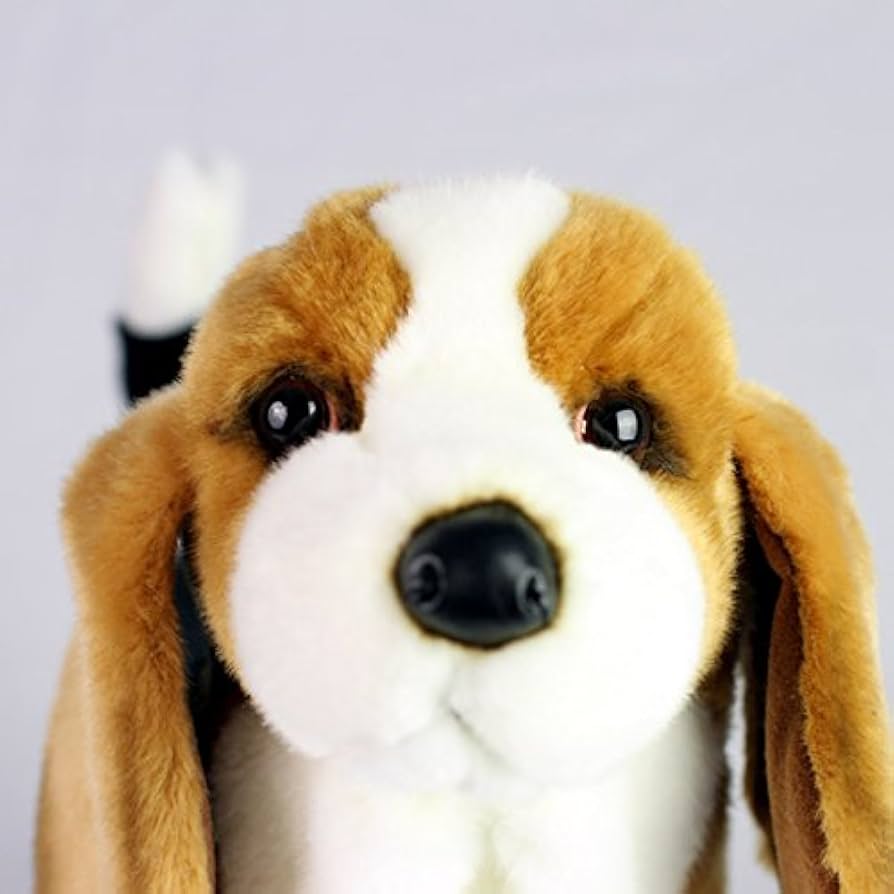 NO.2588BESTEVER バセットハウンド　ぬいぐるみ Amazon.co.jp: ジェリーキャット ランドール バセットハウンド