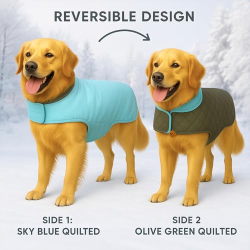 Image of Sage Square Double-Sided Quilted Dog Jacket - Weather-Resistant, Lightweight, Waterproof, Designed for Comfort & Warmth, Adjustable Fit, Perfect for Indoors or Outdoors (Quilt Sky Blue, XL - 20 Inch)