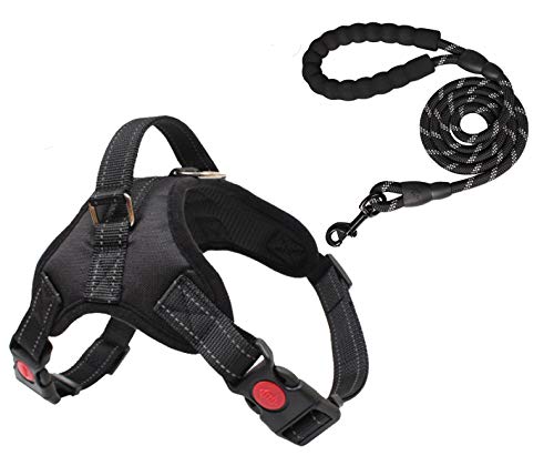 TrainPro No-Pull Dog Collar Harness and Leash Training Set for Easy Control! - Kinder to your Pet than Standard Collars! - Fully Adjustable with Comfort Padding! - Great for Small, Medium, Large Dogs!