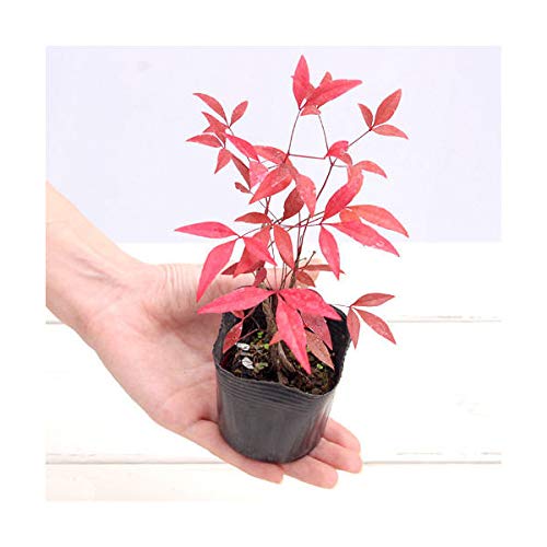 iR쑐j~ ieiVj Q.T`RiP|bgj