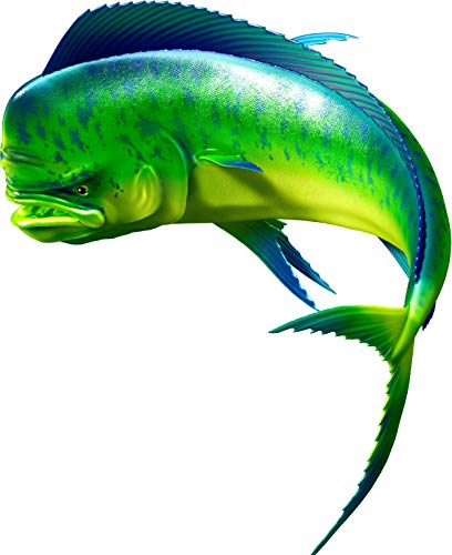 Mahi Mahi Beautiful Fish Decal | Fishing Decal for Boat, Car, Vehicle, Truck Etc. | Waterproof Vinyl Sticker | Many Sizes & Styles Available | 12