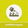 Yupik Organic Coconut Flour 2.2 lb (35.2 oz), USDA Certified, Gluten-Free, GMO-Free, Raw, Vegan, Low-Calorie, Finely Milled, Wheat Alternative & Grain Meal, Ideal for Baking & Cooking
