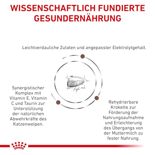 Royal Canin Veterinary Gastrointestinal Kitten Feline | 3er Pack | 3 x 400 g | Diät-Alleinfuttermittel für Kätzchen | Kann dabei helfen den Gastrointestinaltrakt zu unterstützen