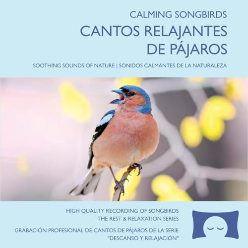 Sonidos relajantes de pájaros   Grabación de cantos de aves para meditar, relajarse y crear un ambiente calmante – Ruido blanco natural