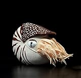 Simulation Nautilus Plush Doll, Realistic Animal Stuffed Toys, Deep Sea Fish Plushies, Gift for Baby Adult (20Cm)