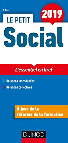 Télécharger Le Petit Social 2019 - L'essentiel en bref: L'essentiel en bref (2019) Gratuit