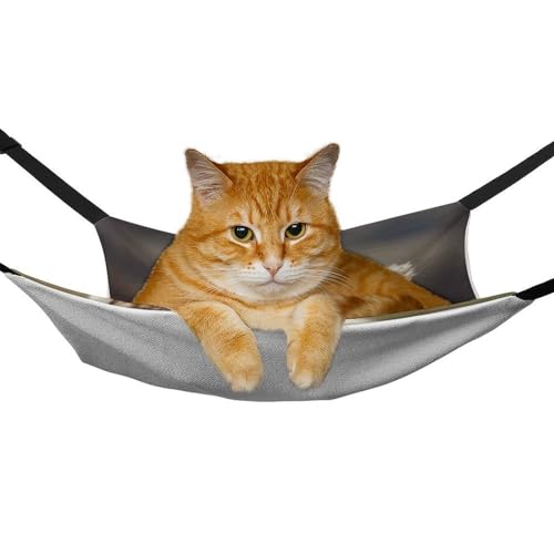 Hamac pour chatons et furets à suspendre au salon