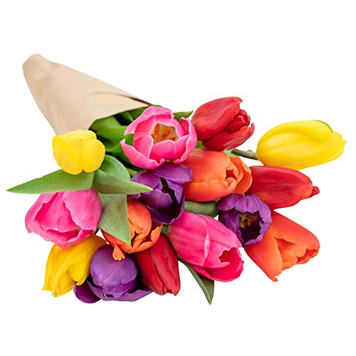 Best Flowers Reviews & Products 2023
