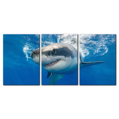 3 Piece Blue Wall Art Painting Great White Shark Catching Fish At Guadalupe Island Pictures Prints on Canvas Animal The Picture Decor for Home Modern Decoration for Living Room - 20"x28"x3 Panels