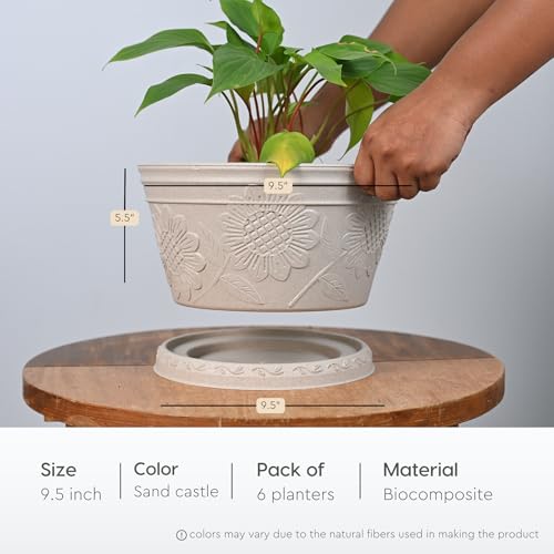 Image of Eha Earth Friendly Nile Planter 9.5 inch Planters for Home Decor| Bamboo Based Plant Pot | Pack of 6 | UV Protected Pot for Plant | Flower Pot for Living Room, for Outdoor and Indoor | Sand Castle