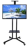Color: como se muestra 32-60 Pulgadas LCD LED Plasma TV Mount Floor Display Stand Carros/Trolley con Soporte para DVD y Soporte para cámara