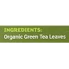 Equal Exchange Green Tea (6/20 BAG) by Equal Exchange