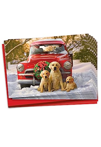 NobleWorks NX}XO[eBOJ[h{bNX12Zbg 5 x 7C`̕t (fUC1Ae12) zf[gbNƃ{ - Family C10185IXSG-B12x1