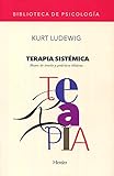 Terapia sistémica: Bases de teoría y práctica clínicas