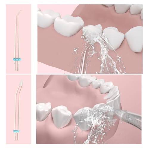 Hydropulseur portable lavable pour gencives sensibles : irrigateur buccal 6 vitesses
